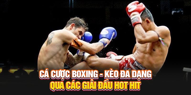 Cá Cược Boxing - Kèo Đa Dạng Qua Các Giải Đấu Hot Hit 
