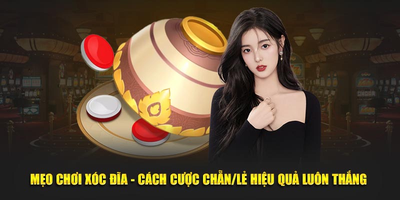 Mẹo Chơi Xóc Đĩa - Cách Cược Chẵn/Lẻ Hiệu Quả Luôn Thắng 