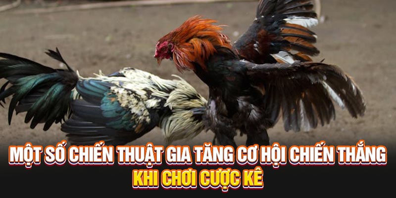 Một số chiến thuật gia tăng cơ hội chiến thắng khi chơi cược kê 