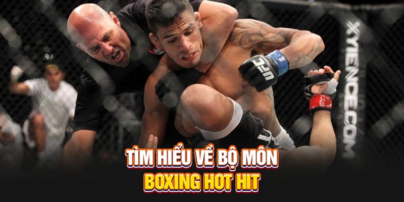 Tìm hiểu về bộ môn Boxing hot hit 