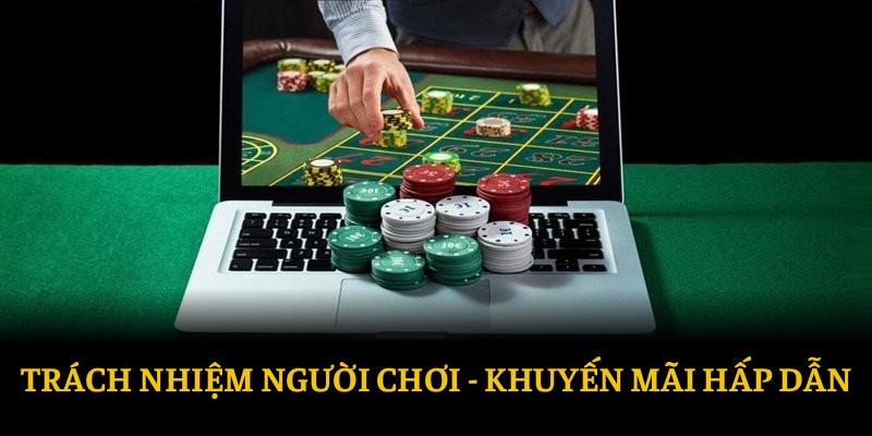 Chương trình khuyến mãi và những ưu đãi thú vị