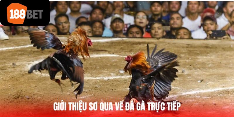giới thiệu đá gà 188bet