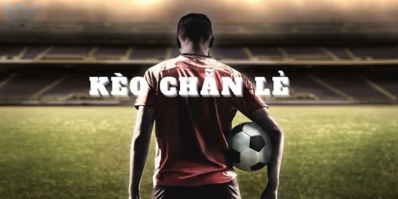 kèo chẳn lẻ là gì 