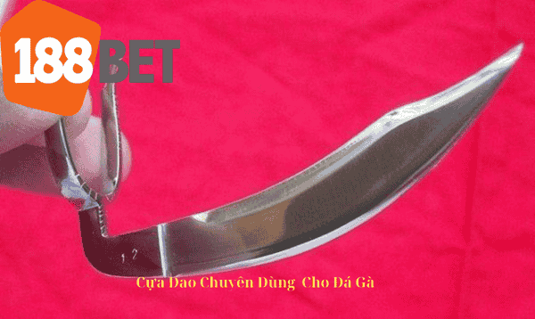 Cựa Dao Chuyên Dùng Cho Đá Gà Cựa Dao